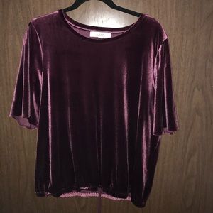 LOFT velvet top
